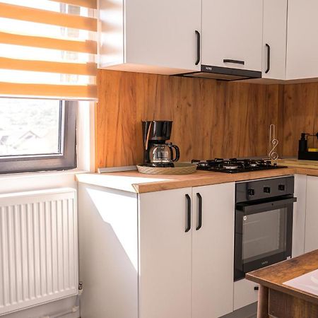 Nina House Apartment Targu Jiu Bilik gambar